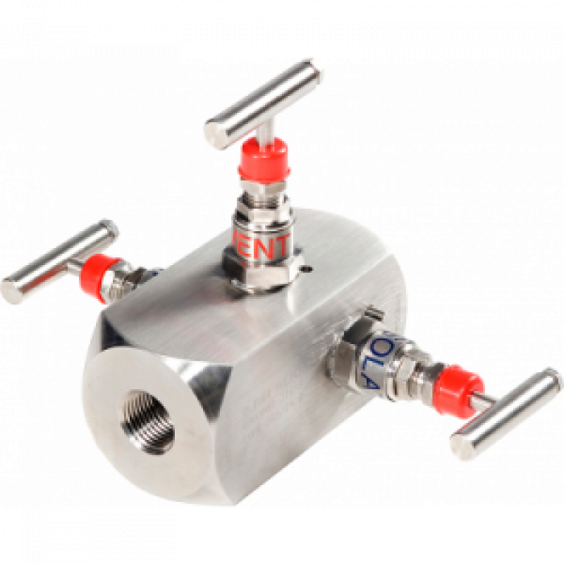 IN Type Instrument DBB Valves