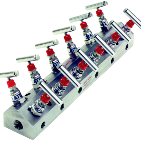 High-Pressure Distribution Manifold (DM)