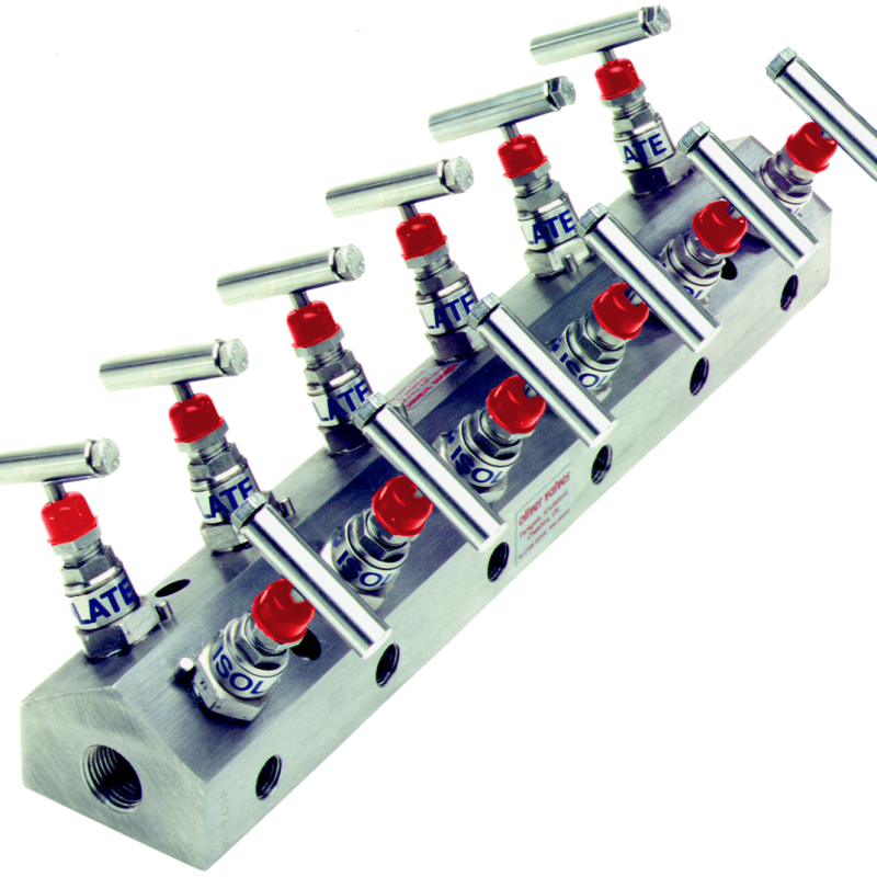 High-Pressure Distribution Manifold (DM)