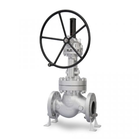 Globe Valve