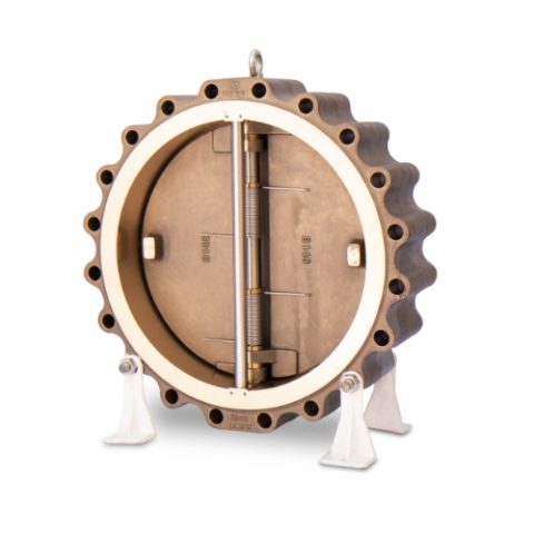 Non-Slam Check Valve