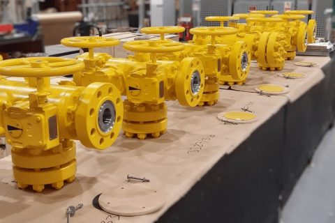 Oliver Twinsafe Valves Supplied for MEG Injection Pump Systems