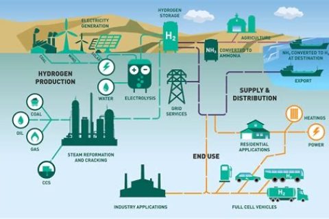 Traditional Valves vs Hydrogen-Specific Valves: What is the Real Difference?